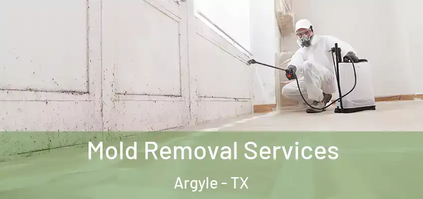Mold Removal Services Argyle - TX