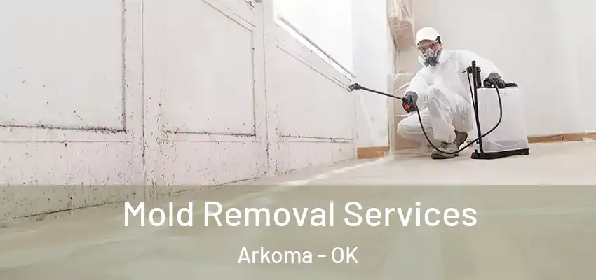  Mold Removal Services Arkoma - OK