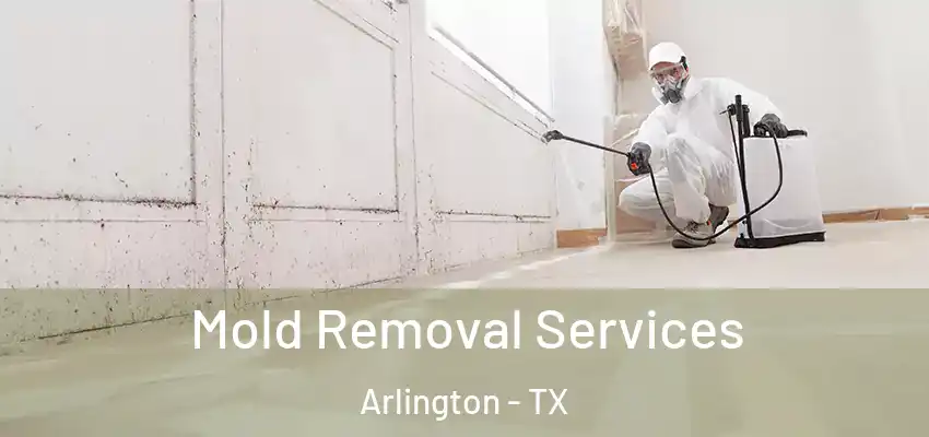  Mold Removal Services Arlington - TX