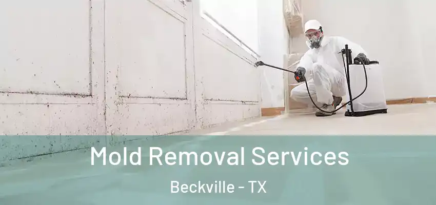  Mold Removal Services Beckville - TX