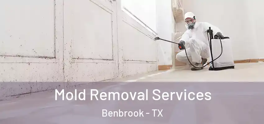  Mold Removal Services Benbrook - TX