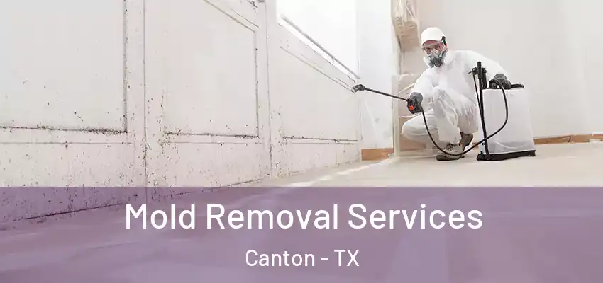 Mold Removal Services Canton - TX