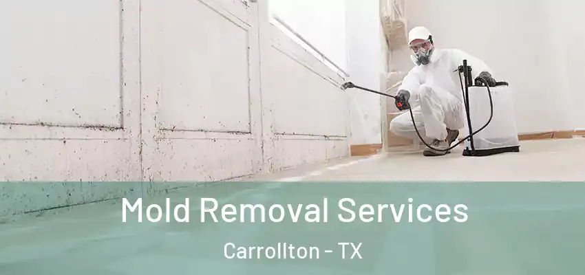 Mold Removal Services Carrollton - TX