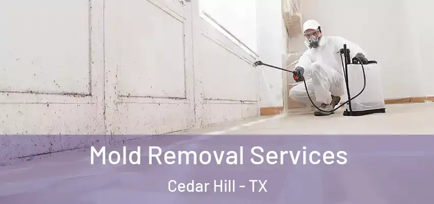 Mold Removal Services Cedar Hill - TX