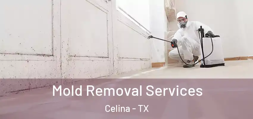 Mold Removal Services Celina - TX