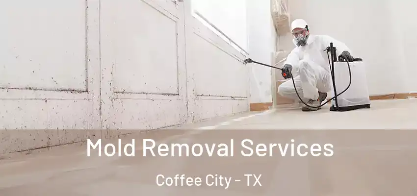 Mold Removal Services Coffee City - TX