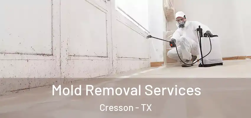  Mold Removal Services Cresson - TX