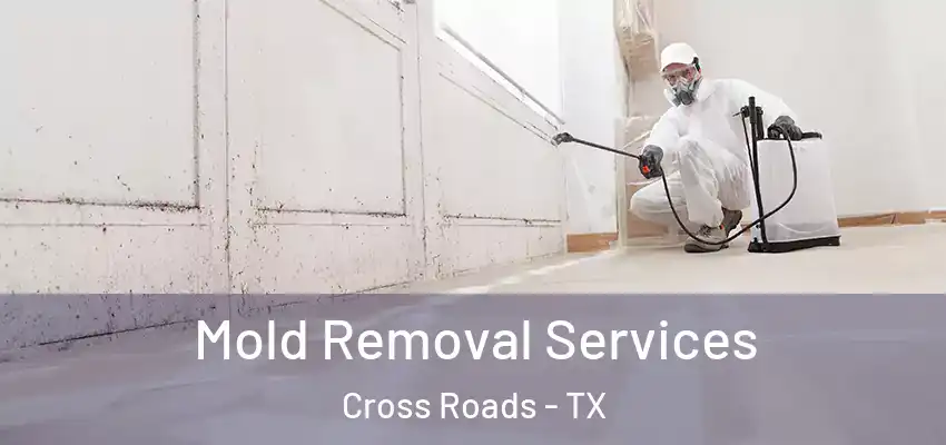  Mold Removal Services Cross Roads - TX