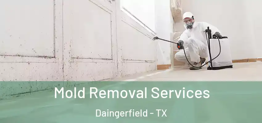  Mold Removal Services Daingerfield - TX