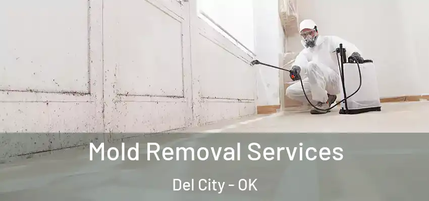  Mold Removal Services Del City - OK