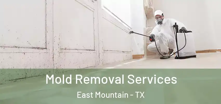 Mold Removal Services East Mountain - TX