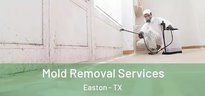  Mold Removal Services Easton - TX
