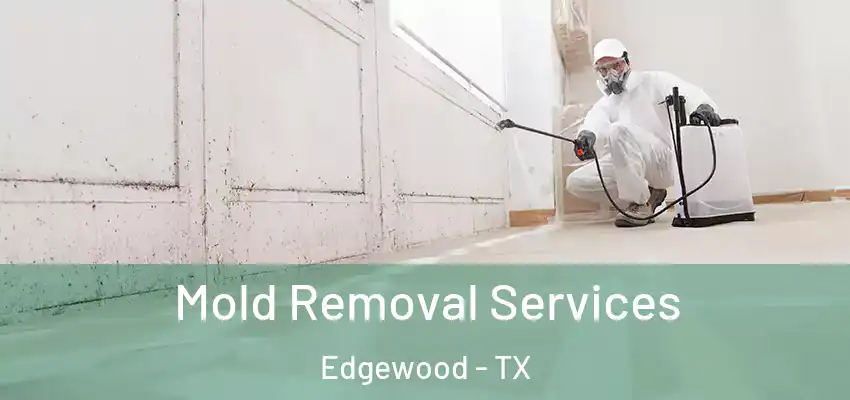  Mold Removal Services Edgewood - TX