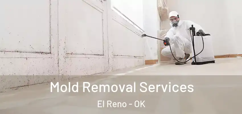  Mold Removal Services El Reno - OK