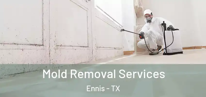  Mold Removal Services Ennis - TX