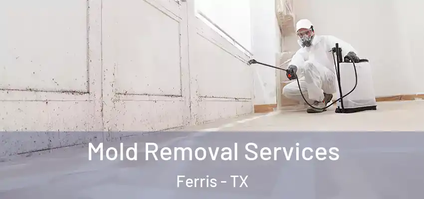  Mold Removal Services Ferris - TX