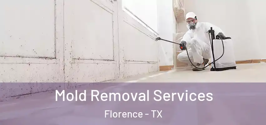 Mold Removal Services Florence - TX