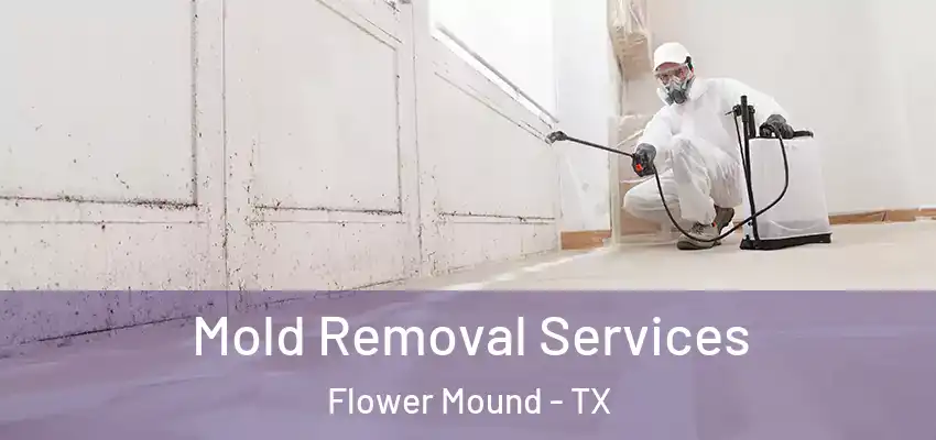  Mold Removal Services Flower Mound - TX