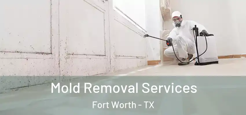  Mold Removal Services Fort Worth - TX
