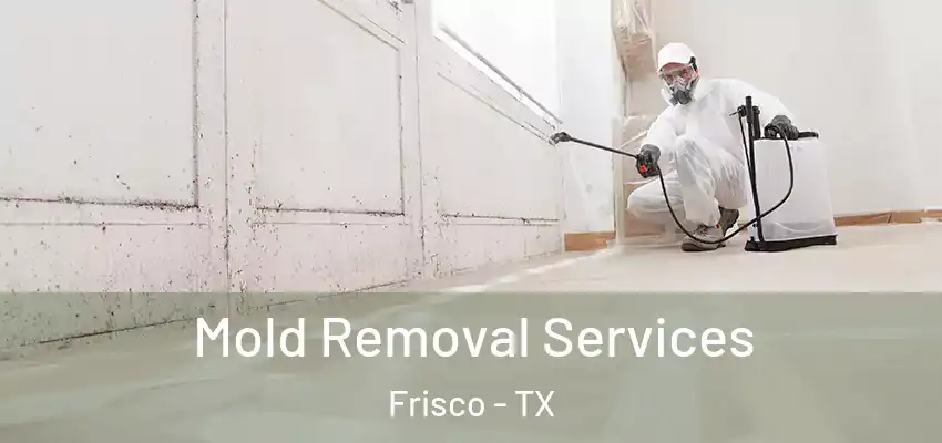 Mold Removal Services Frisco - TX