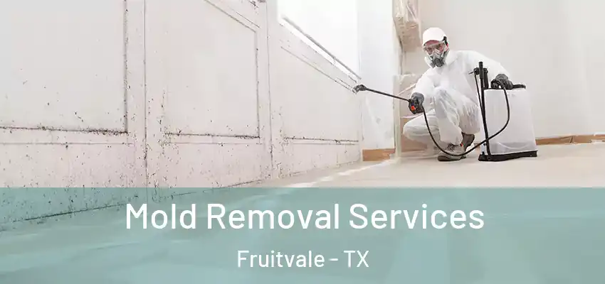  Mold Removal Services Fruitvale - TX