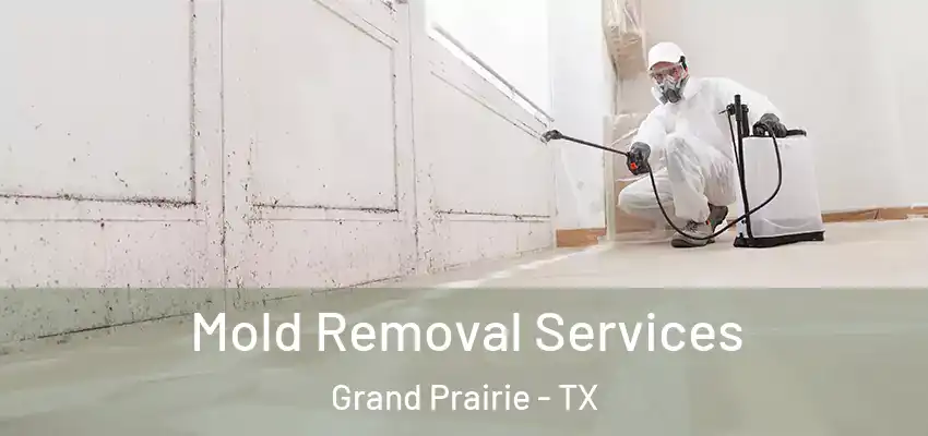  Mold Removal Services Grand Prairie - TX