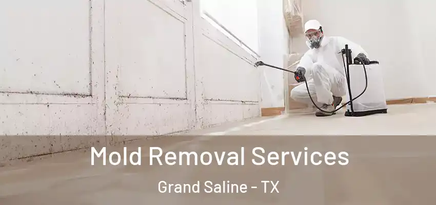  Mold Removal Services Grand Saline - TX