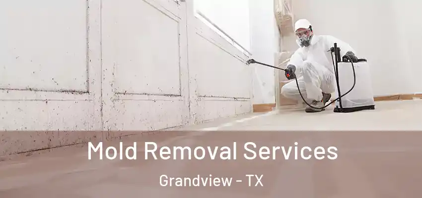  Mold Removal Services Grandview - TX