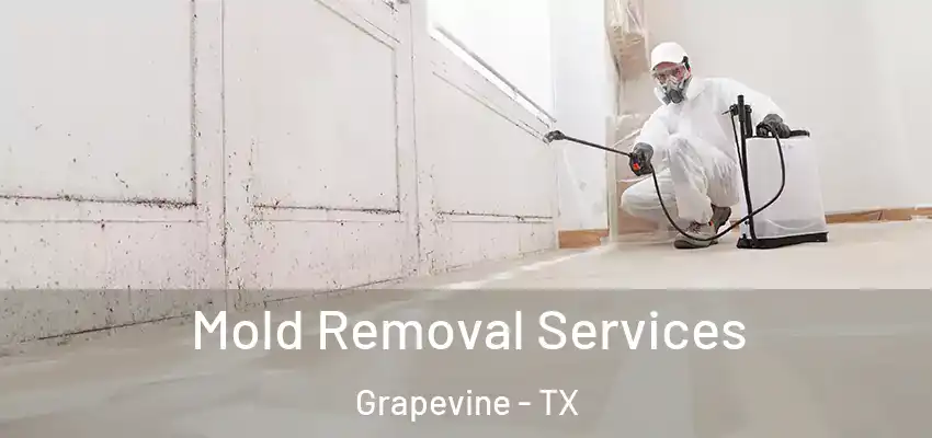  Mold Removal Services Grapevine - TX