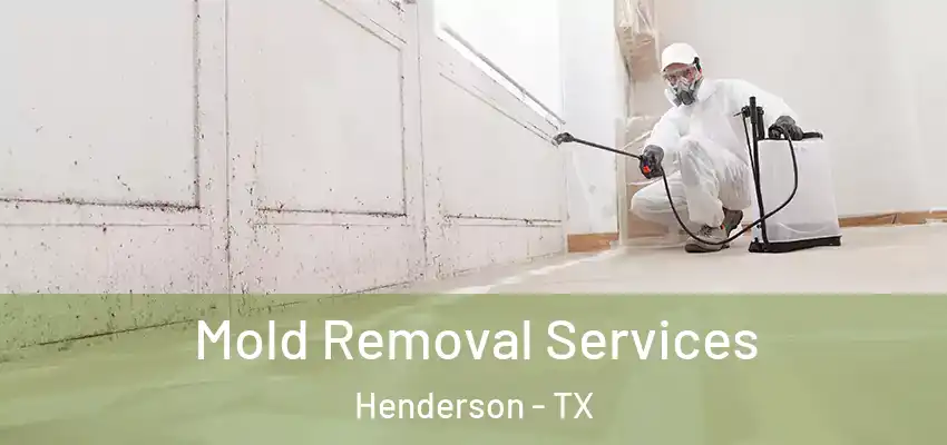  Mold Removal Services Henderson - TX