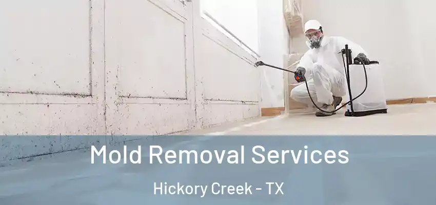  Mold Removal Services Hickory Creek - TX