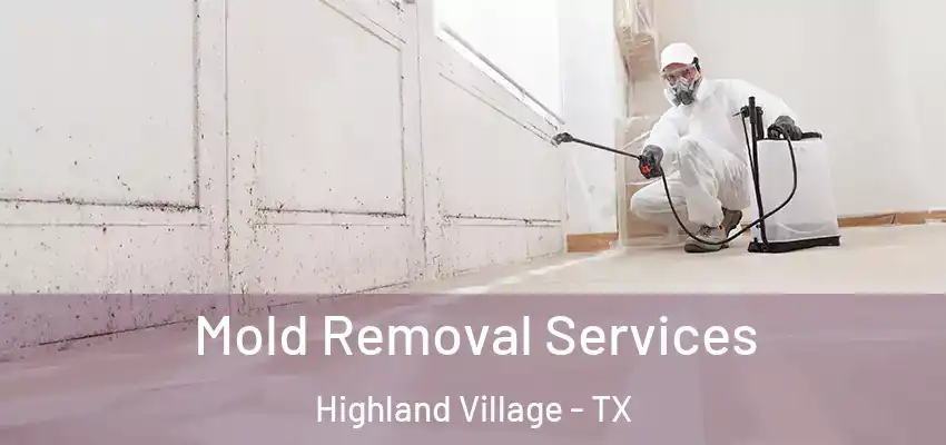 Mold Removal Services Highland Village - TX