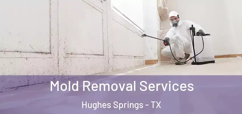 Mold Removal Services Hughes Springs - TX