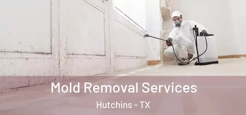  Mold Removal Services Hutchins - TX