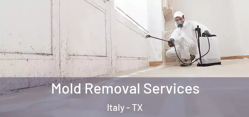 Mold Removal Services Italy - TX
