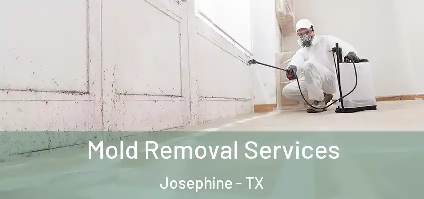 Mold Removal Services Josephine - TX