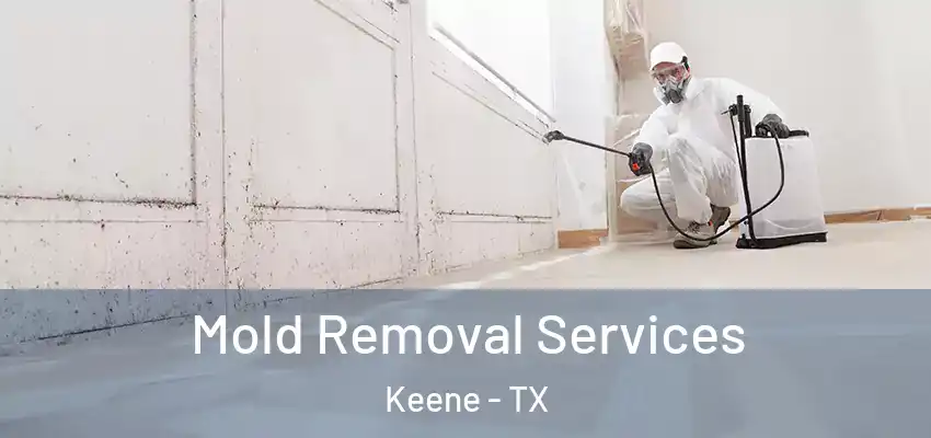 Mold Removal Services Keene - TX