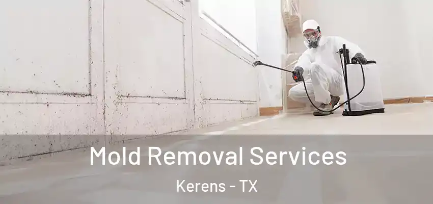 Mold Removal Services Kerens - TX