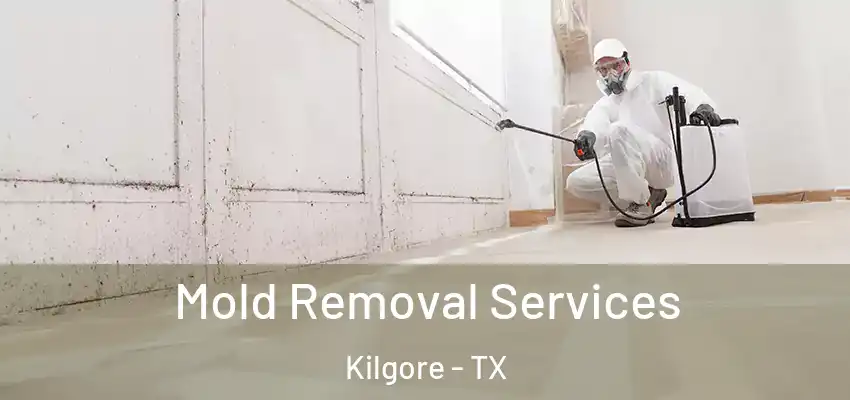  Mold Removal Services Kilgore - TX