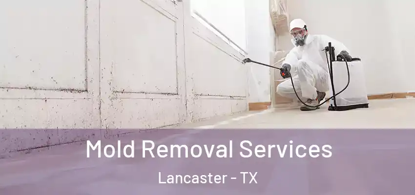  Mold Removal Services Lancaster - TX