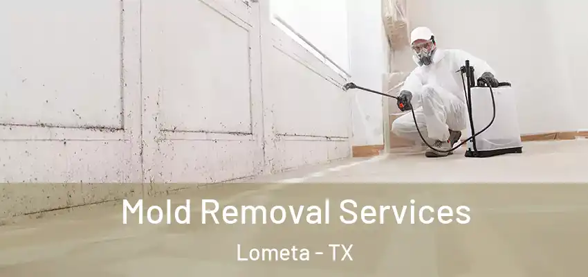  Mold Removal Services Lometa - TX