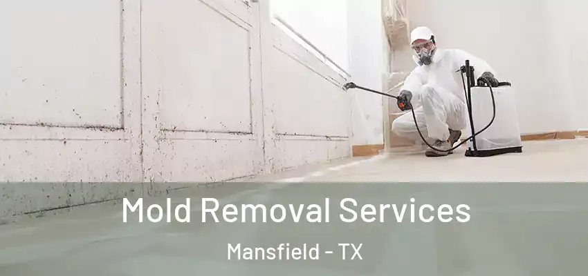 Mold Removal Services Mansfield - TX