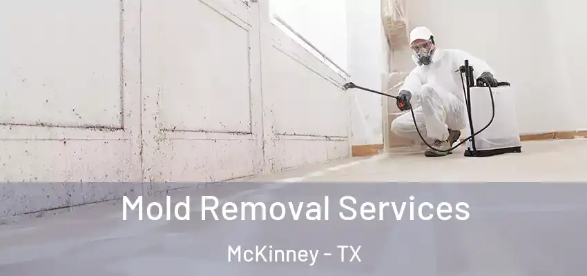 Mold Removal Services McKinney - TX