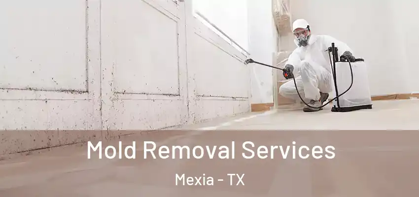  Mold Removal Services Mexia - TX