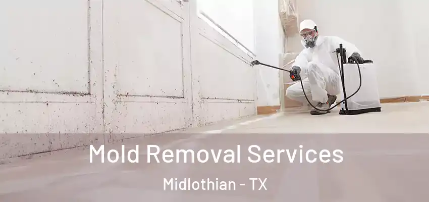 Mold Removal Services Midlothian - TX