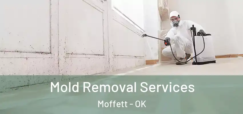 Mold Removal Services Moffett - OK