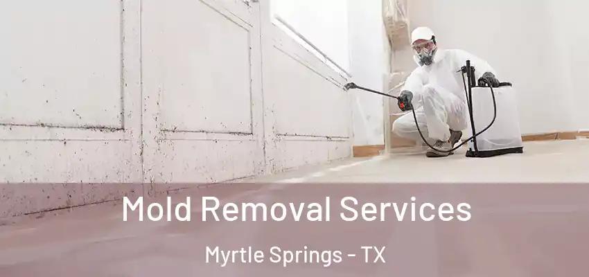  Mold Removal Services Myrtle Springs - TX