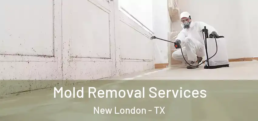  Mold Removal Services New London - TX