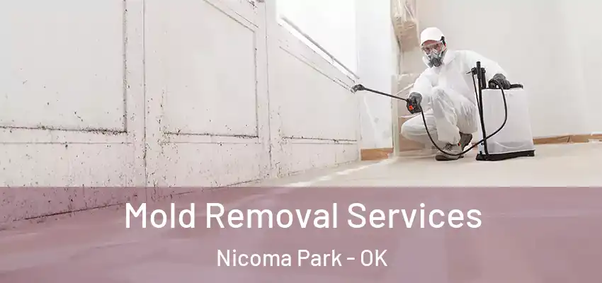 Mold Removal Services Nicoma Park - OK