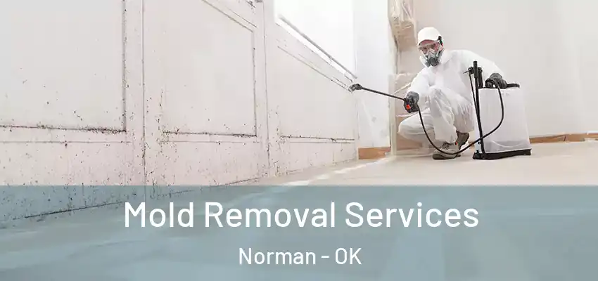  Mold Removal Services Norman - OK